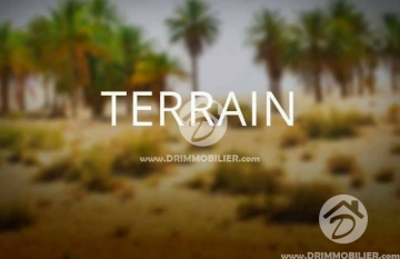 V 114 -                            Vente
                           Terrain Djerba